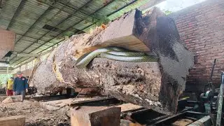 Reviving Ancient Sawmills in London ‼️ The Forgotten Craft of Woodworking