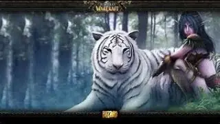 Best Beast Mastery Hunter Pets to Obtain!