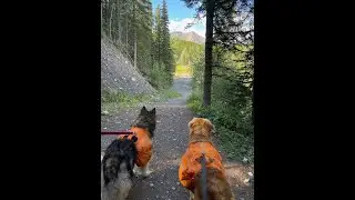Ribbon Creek  Loop Hike