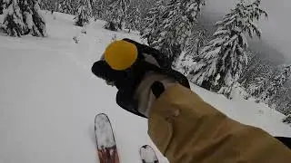 Catskiing with Cascade Powder Guides