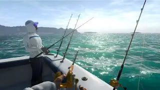 Huge Sail Fish In Fishing Planet