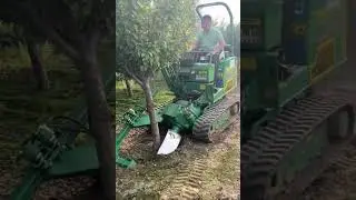 Modern truck moving big tree#shorts #shorts #technology