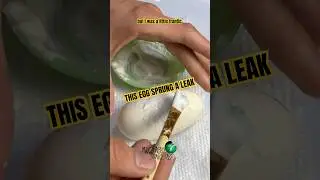 I&rsquo;m not sure how this happened! I did my best to fix it. #molinarosnakelab #leakyegg #shorts #diy
