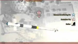 DBAH Legacy: I would get killed by a stinger.