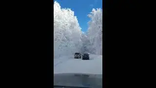 Beautiful Winter in Georgia / Красивейшая Зима в Грузии