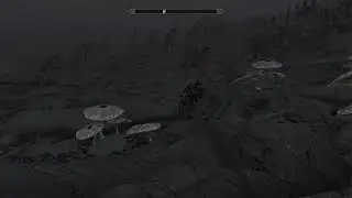 High Elf in a Dark Land | My Solstheim Reckoning (Not So Funky Funghi)