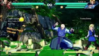 Black, Yamcha, Tien Damage (Nearly ToD)