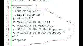 04 docker run wordpress