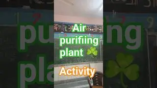 Smart Learning Journey: Air purifiing Plant Activity + School fun !🌱✏️#airpurifierplant #school#govt