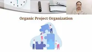 TYPES OF PROJECT ORGANIZATION