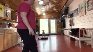 November 10 Penny 2022 Lima dog training