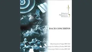 Concerto for Two Violins in D Minor, BWV 1043: II. Largo ma non tanto