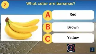 Fun Colors Quiz for Kids | Easy Learning Game 🌈🎨