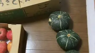 Is Food in Japan Expensive?  | I buy fruits and veggies dirt cheap in Japan #shorts
