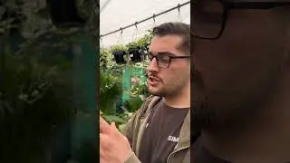 Igrometro, misuratore di umidit&agrave;, controllo Ph del terreno e altre funzioni per la cura delle piante
