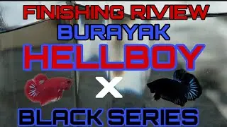 FINISHING REVIEW BURAYAK HELLBOY X BLACK SERIES