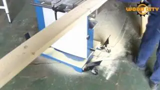Heavy duty woodworking band saw with sanding components