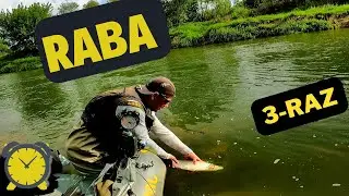 Raba - kolejny spływ! Czy to był pstrąg marzeń?