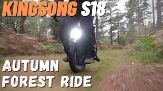 Kingsong S18 - Autumn Forest Ride