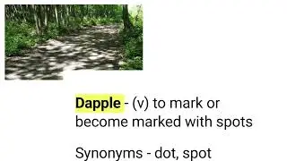 learn a word - Dapple/meaning/synonyms/example sentence#learnawordaday