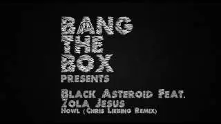 Black Asteroid feat. Zola Jesus - Howl (Chris Liebing Remix)