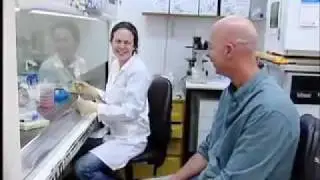 Natural Killer Cells: A Look into The Hebrew University's Cancer Research