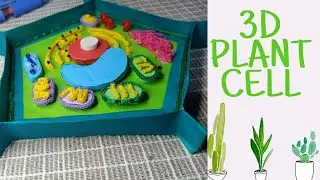 Plant Cell- General Biology 1-Jeraldyn Abequibel- STEM1201