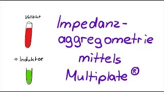Impedanzaggregometrie mittels Multiplate