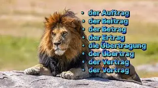 Auftrag, Beitrag, Ertrag, Betrag, &Uuml;bertragung, &Uuml;bertrag, Vertrag, Vortrag 