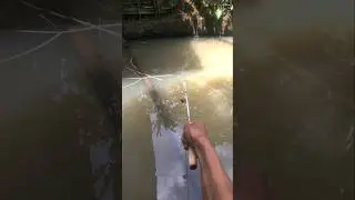 sosis for fishing bait #strike