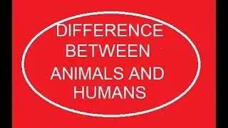 Difference between animals and human being