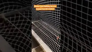 Nylone Net installation in Rohini Delhi NCR Service Available contact Master Bird Netting 9971349037