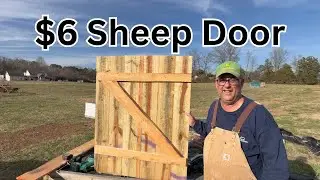 I Built a Solid Sheep Pen Door for ONLY $6 (No Joke!)