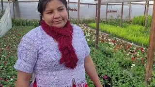 Todo tiene su tiempo