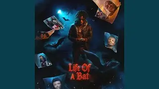 4 Bats