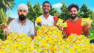100 PACKET MAGGI NOODLES | Cooking and Eating in Village | Veg Maggi