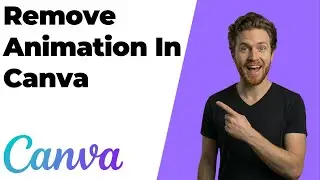 How To Remove Animation In Canva (2026 Easy Guide)