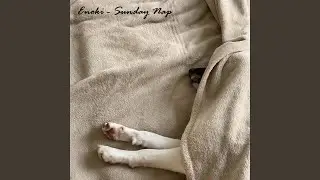 Sunday Nap