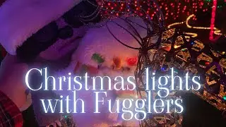 Fugglers love Christmas magic #fugglers #fugler #fuggler #fuglers #christmas #christmaslights 