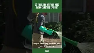 Why you need lawn care in the spring?