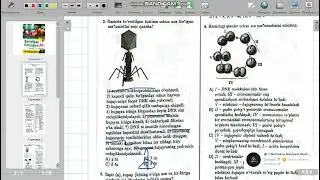 Sertifikat Biologiya A+. 1-variant 1-12savollar