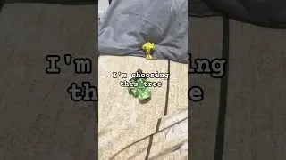 the disguiser