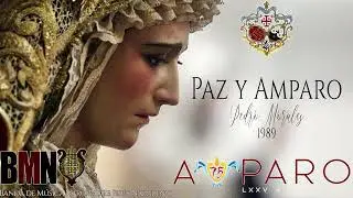 Paz y Amparo (Pedro Morales) BMNazareno (San Fernando)