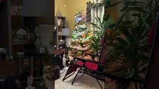 Araw Gabi ( Cover by Ricky)