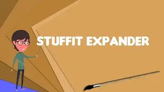 Что такое StuffIt Expander?, Объясните StuffIt Expander, Дайте определение StuffIt Expander