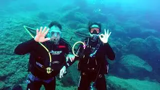 Inmersi&oacute;n en Radazul -Tu Canal de Buceo de Canarias