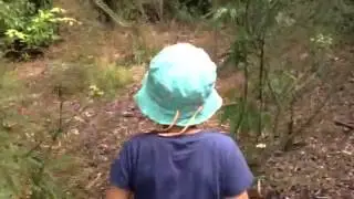 An Amazing Mushroom Find - Revolute Inkcaps