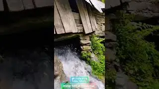 Water Mill in Himalaya | Gharat - pahadi Atta Chakki | Stream Based Flour Mill in Himachal Pradesh