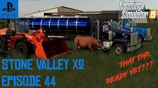 Stone Valley X2 | Episode #44 - That TMR Ready Yet??? | Farming Simulator 19