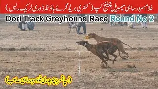 Dogs Race || Dori Track Race || Round # 2 || Muhammad wala Fsd || 21-01-2026 #dog #pets #animals